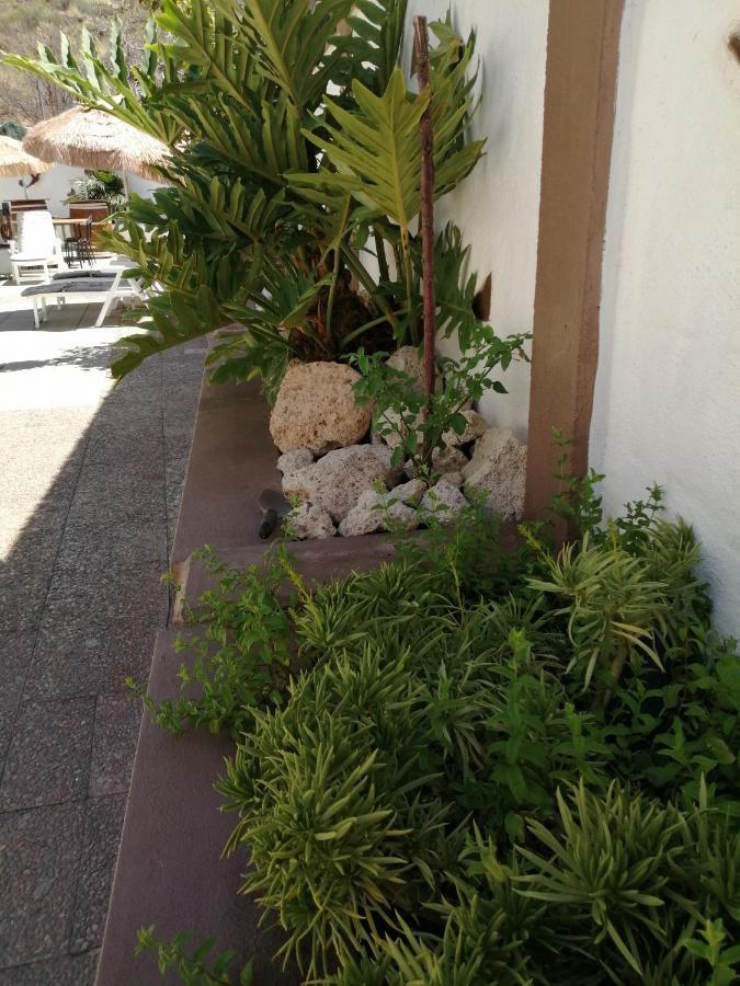 Apartamento Abi&Lei Vv Candelaria Exterior foto